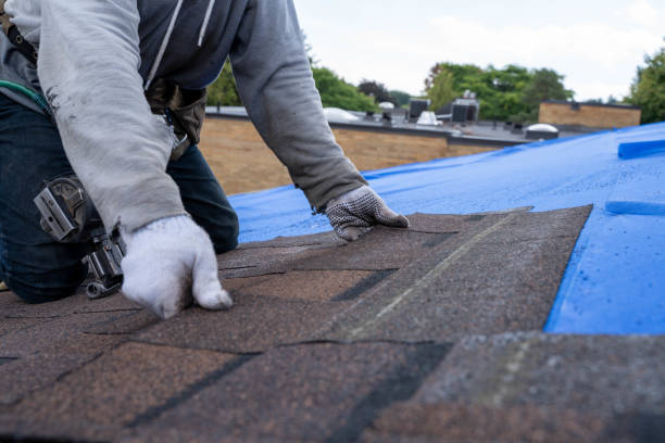 Roof Gutter Cleaning in Lutcher, LA